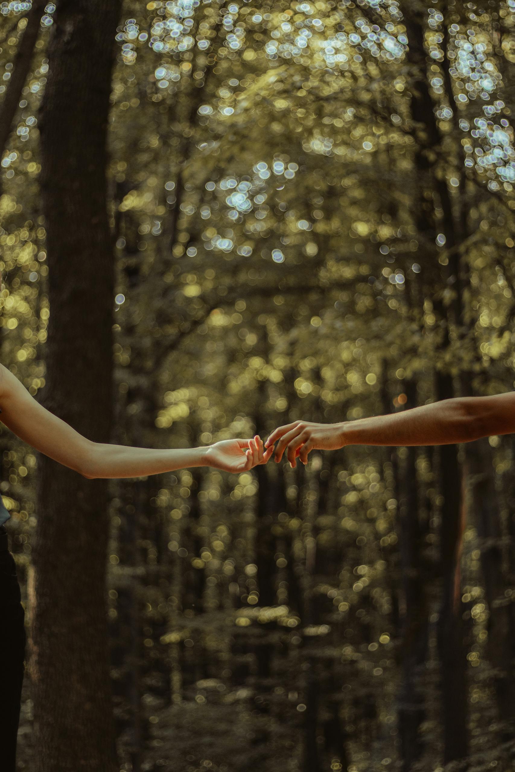 Two hands reaching for each other in a serene, sunlit forest backdrop, symbolizing connection.